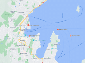 Nieuw-zeeland-wellington-haven-map.png