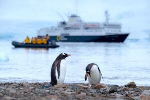 Antarctica-cruise-haven