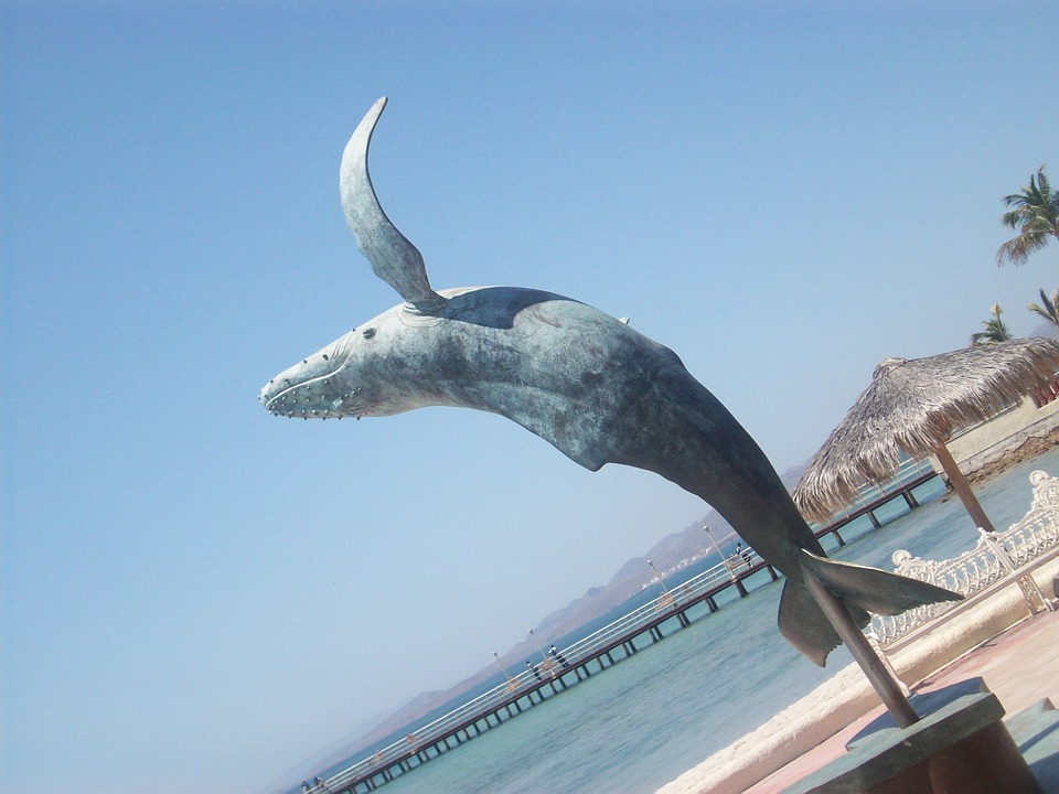 mexico-la-paz-zee-strand-dolfijn
