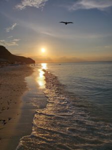 mexico-la-paz-zee-strand-zee-zonsondergang-pelikaan