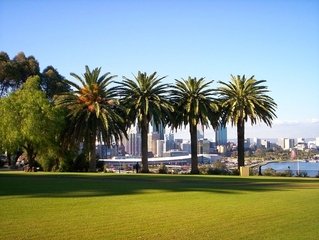 Australië-perth-fremantle-kings-park-palmboom
