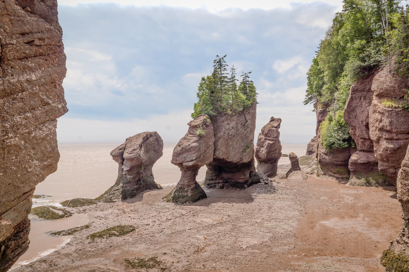 Canada-saint-john-hopewell-rocks-rotsen
