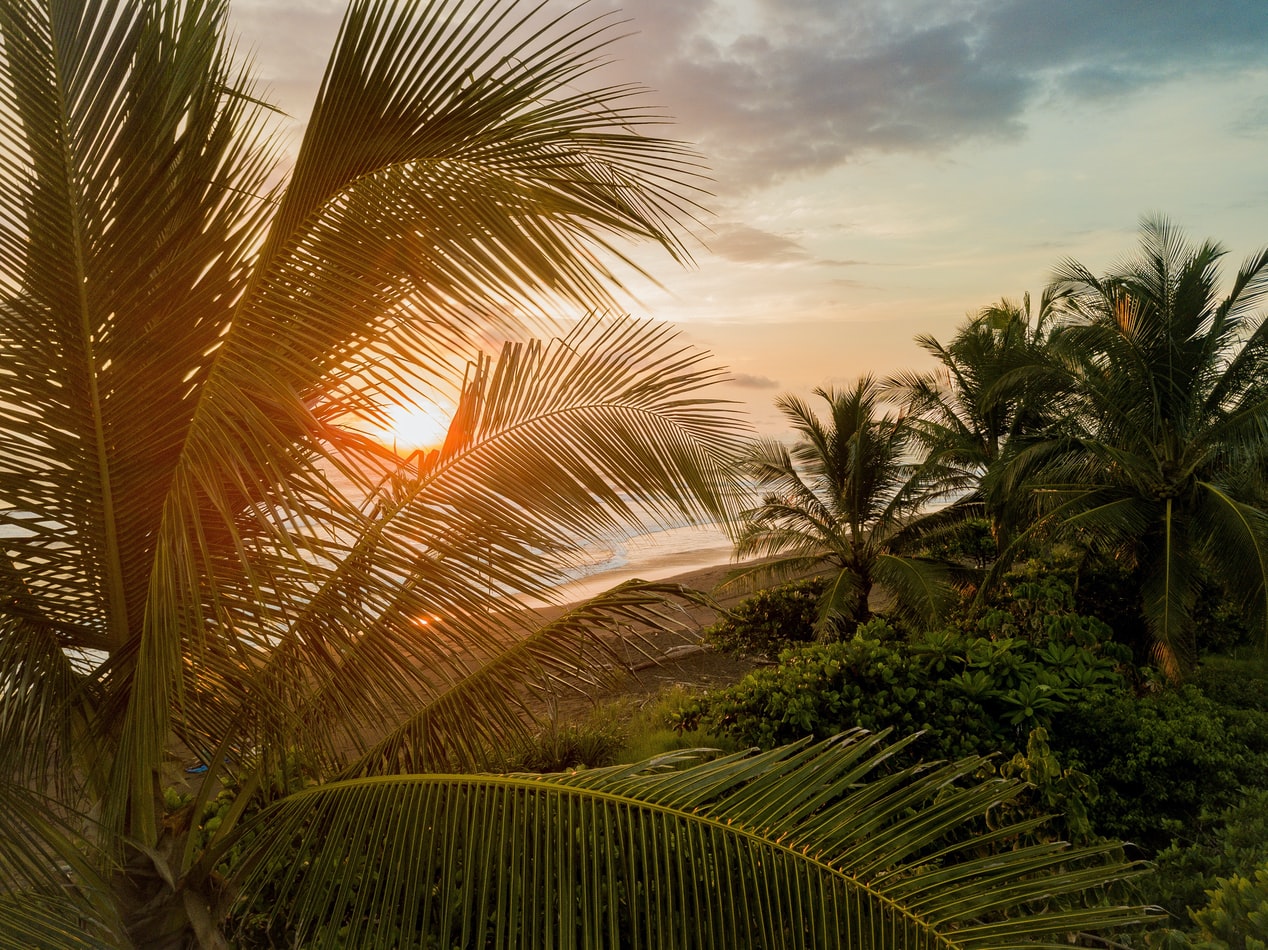 Costa-Rica-puerto-limon-zonsondergang-palmboom