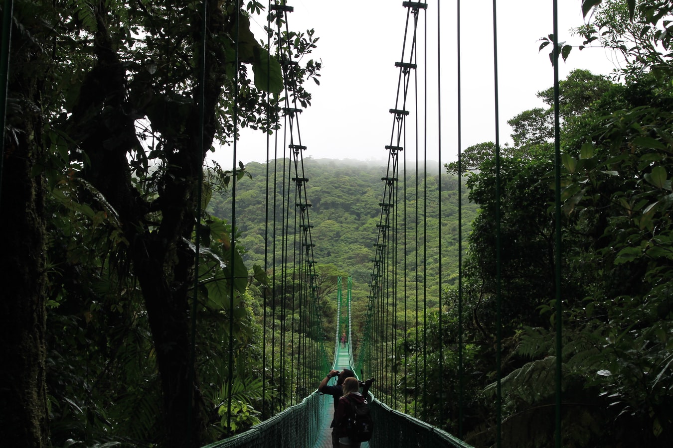 Costa-rica-puntarenas-brug-jungle