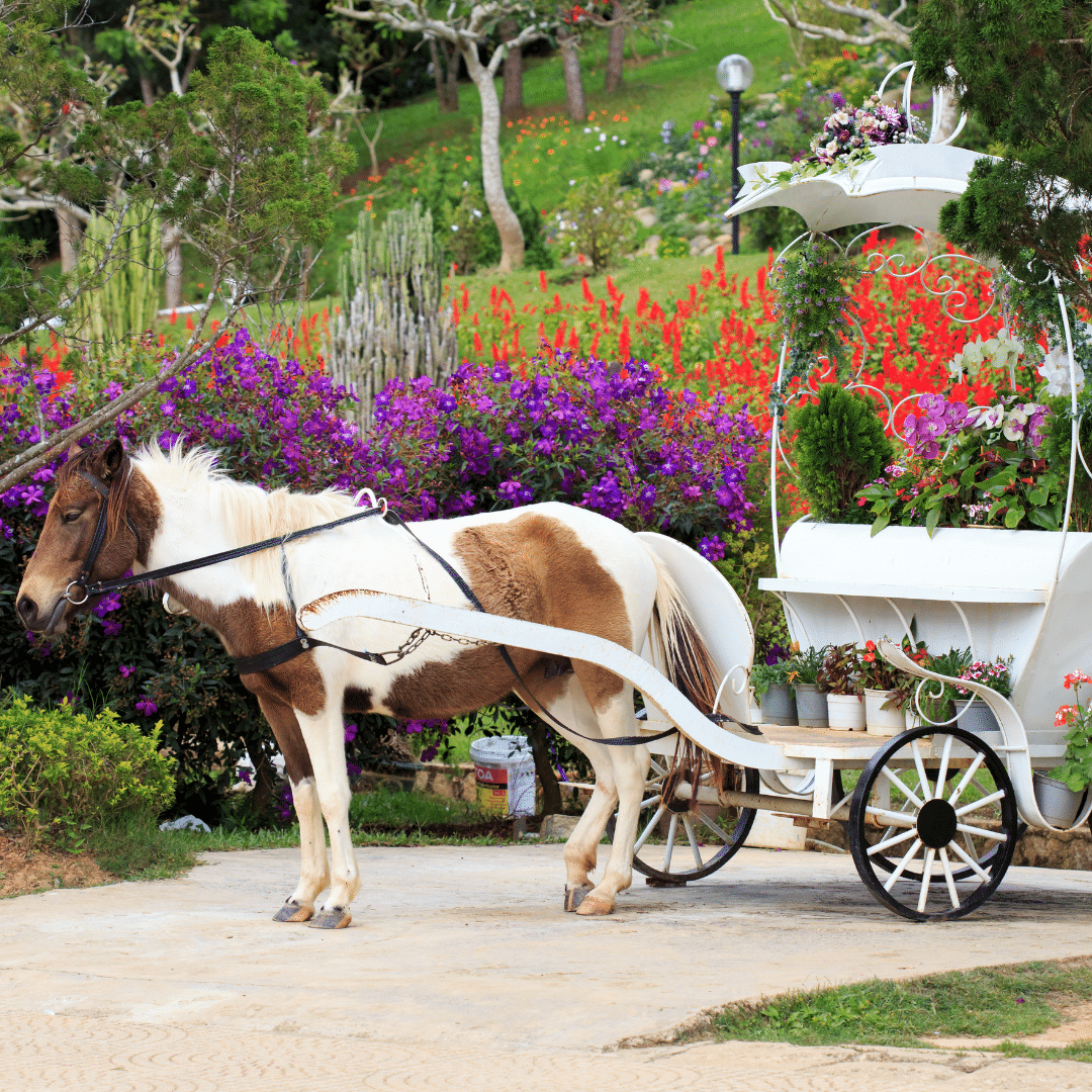 Engeland-Tilbury-paard-wagen-bloemen-tuinen