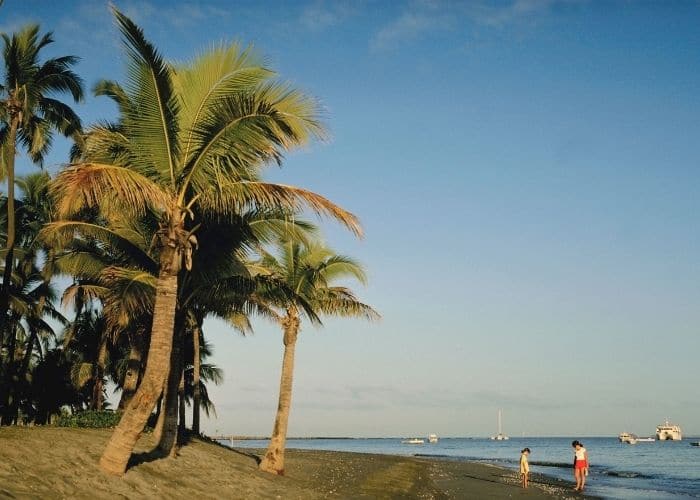 Fiji-port-denarau-strand-palmboom.jpg