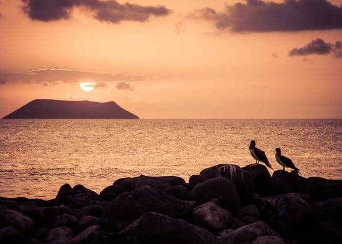 Galapagos-north-seymour-zonsondergang-zee