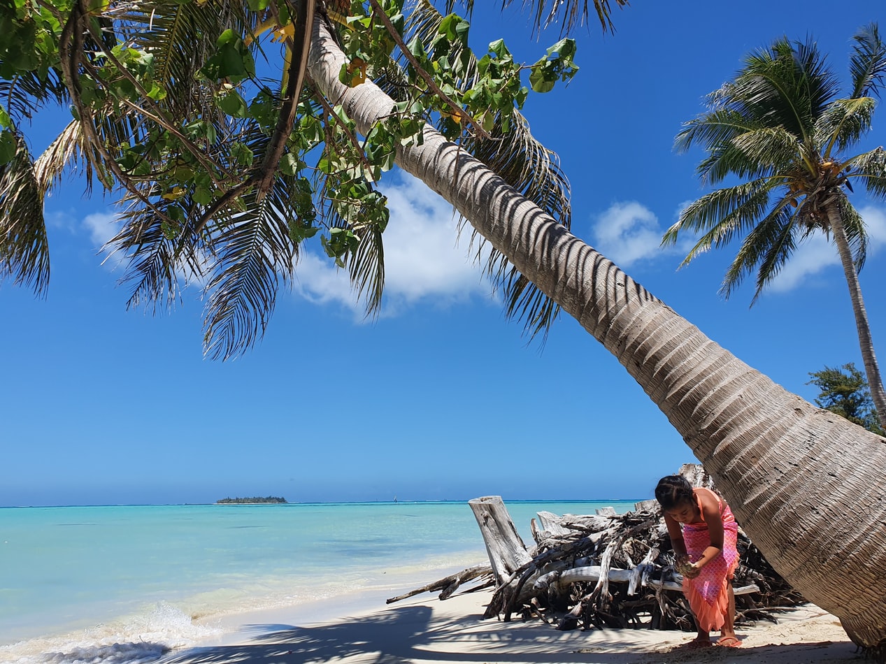 Marianen-saipan-palmboom-strand