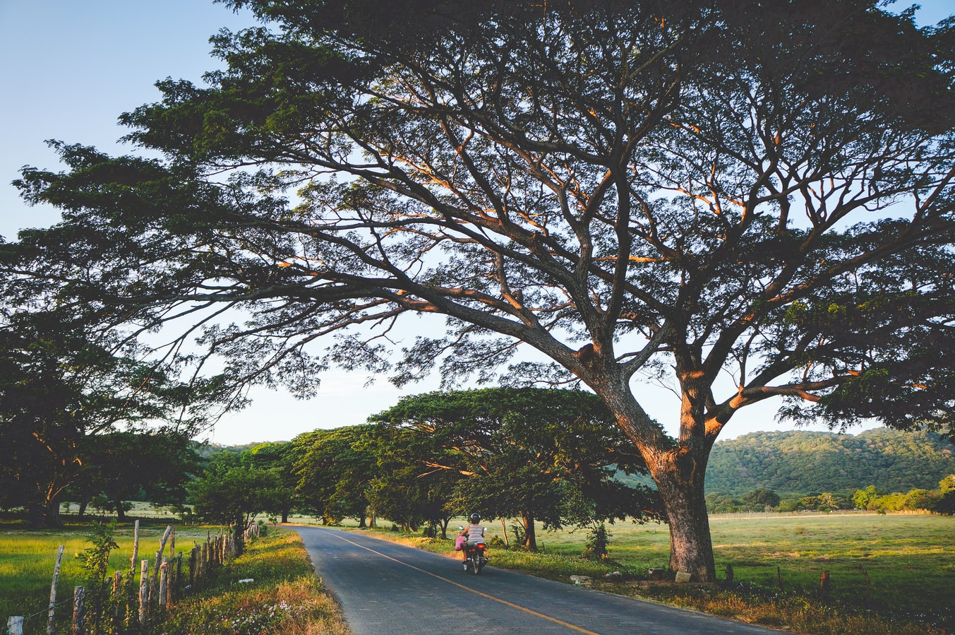 Nicaragua-san-juan-del-sur-weg-bomen