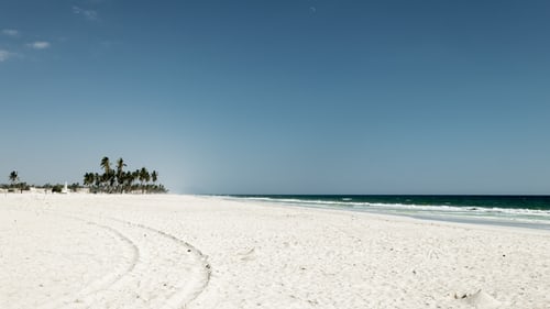 Oman-salalah-strand-zee-palmbomen
