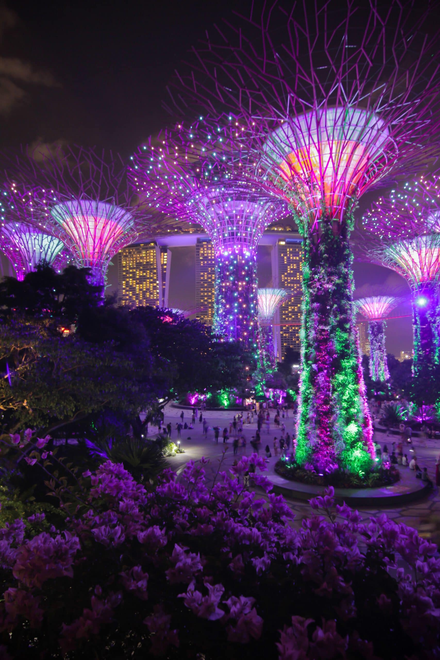 azie-singapore-tree garden