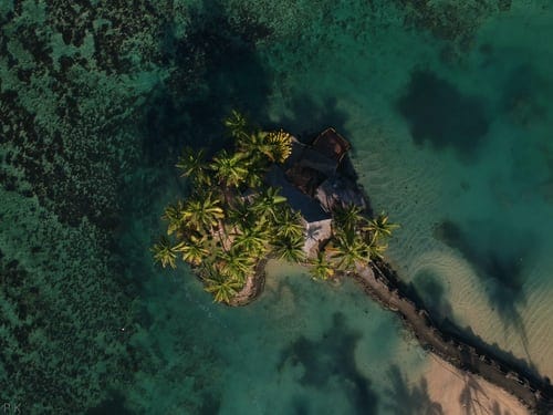 fiji-lautoka-eiland-zee-palmboom