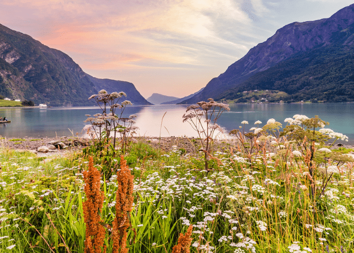noorwegen-skjolden-natuur-view-landschap