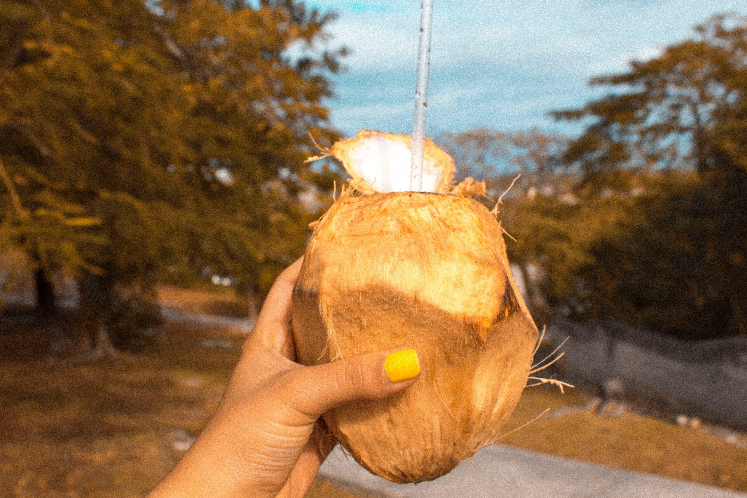 bahamas-cococay-coconut-kokosnoot-drinken-kokos-natuur