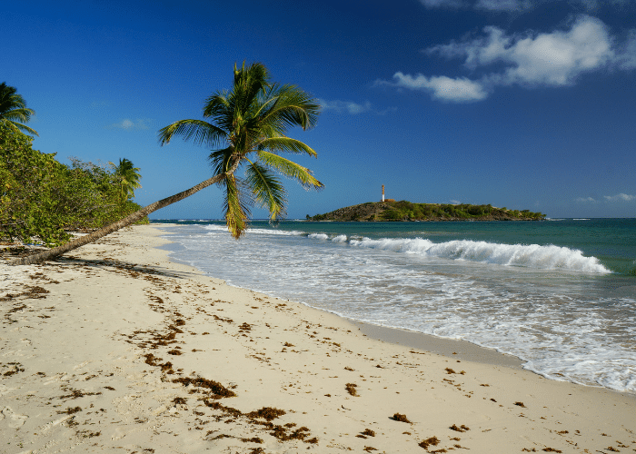 dominicaanse republiek-cabrits-strand-palmboom-vuurtoren