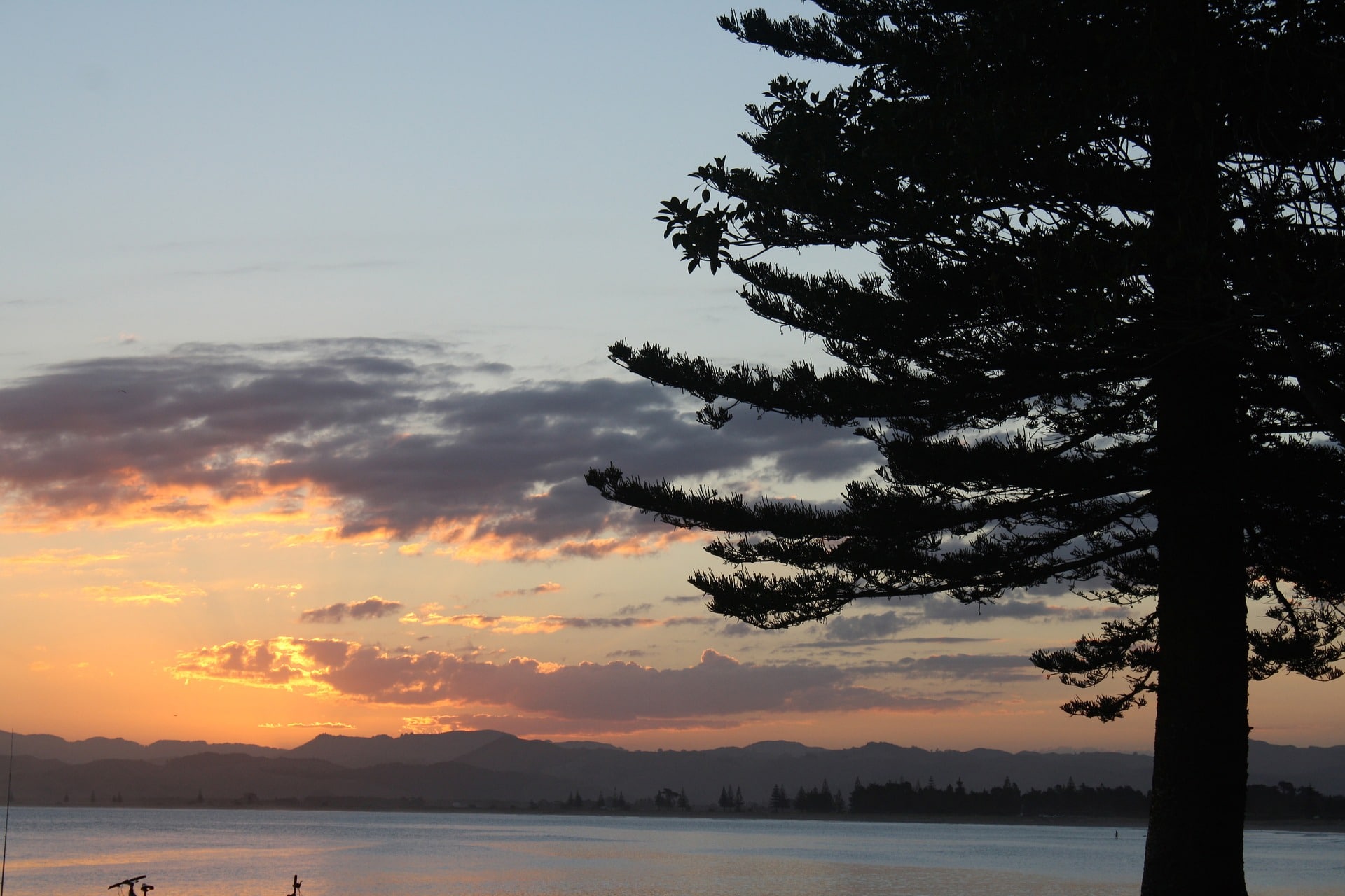 australie-Gisborne-landschap-natuur-bergen-boom-zonsondergang