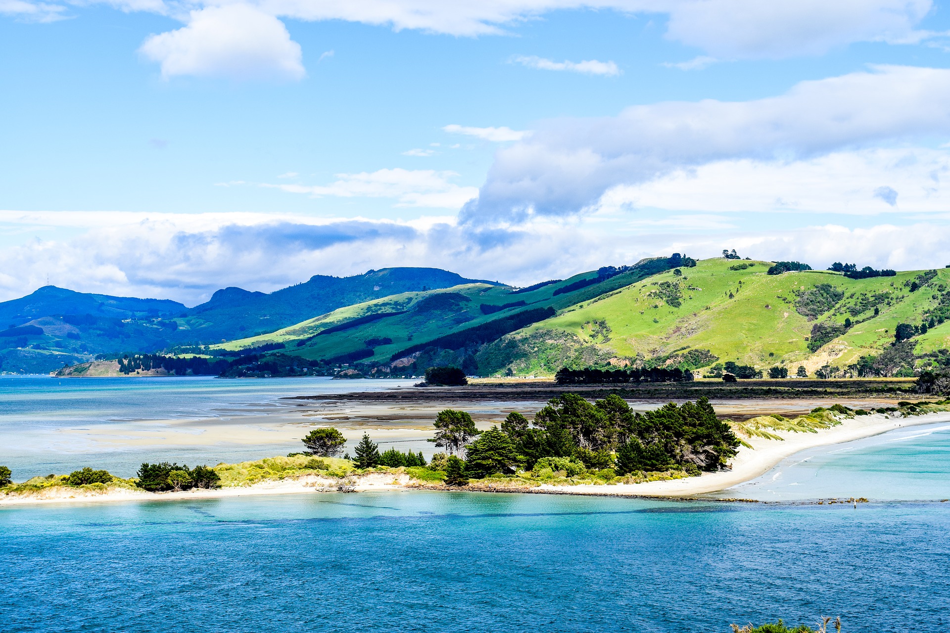 nieuw zeeland-Dunedin-natuur-landschap