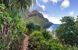 Verenigde Staten-Hawaii-Nawiliwili-natuur