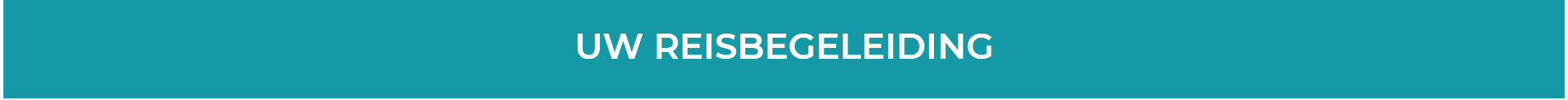 Uw-reisbegeleiding