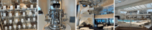 Interieur, mein schiff 3, atrium, chocolaterie, lounge