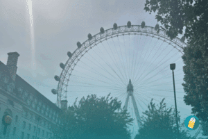 AIDA, Londen Eye, excursie